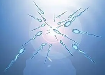 哈尔滨45岁合法助孕-精子异常是如何表现出来的，有什么办法可以预防？